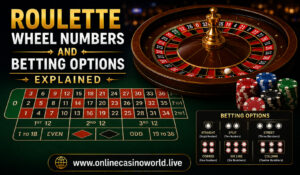 Roulette Wheel Numbers and Betting Options Explained